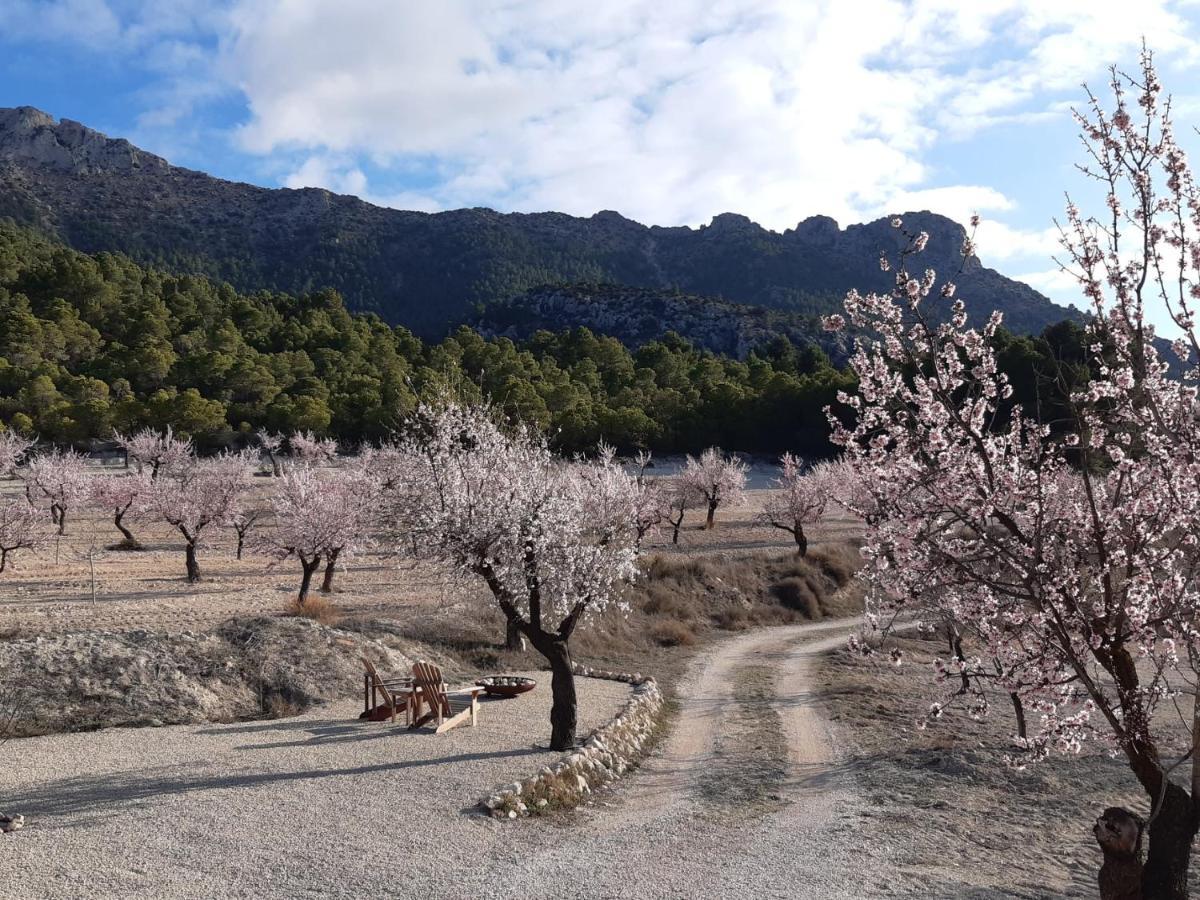 贝莱斯布兰科Cortijo Blanco公寓 外观 照片